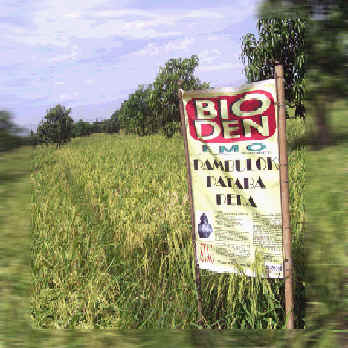 Turnkey Soil Remediation Technology - Guiguinto, Bulacan